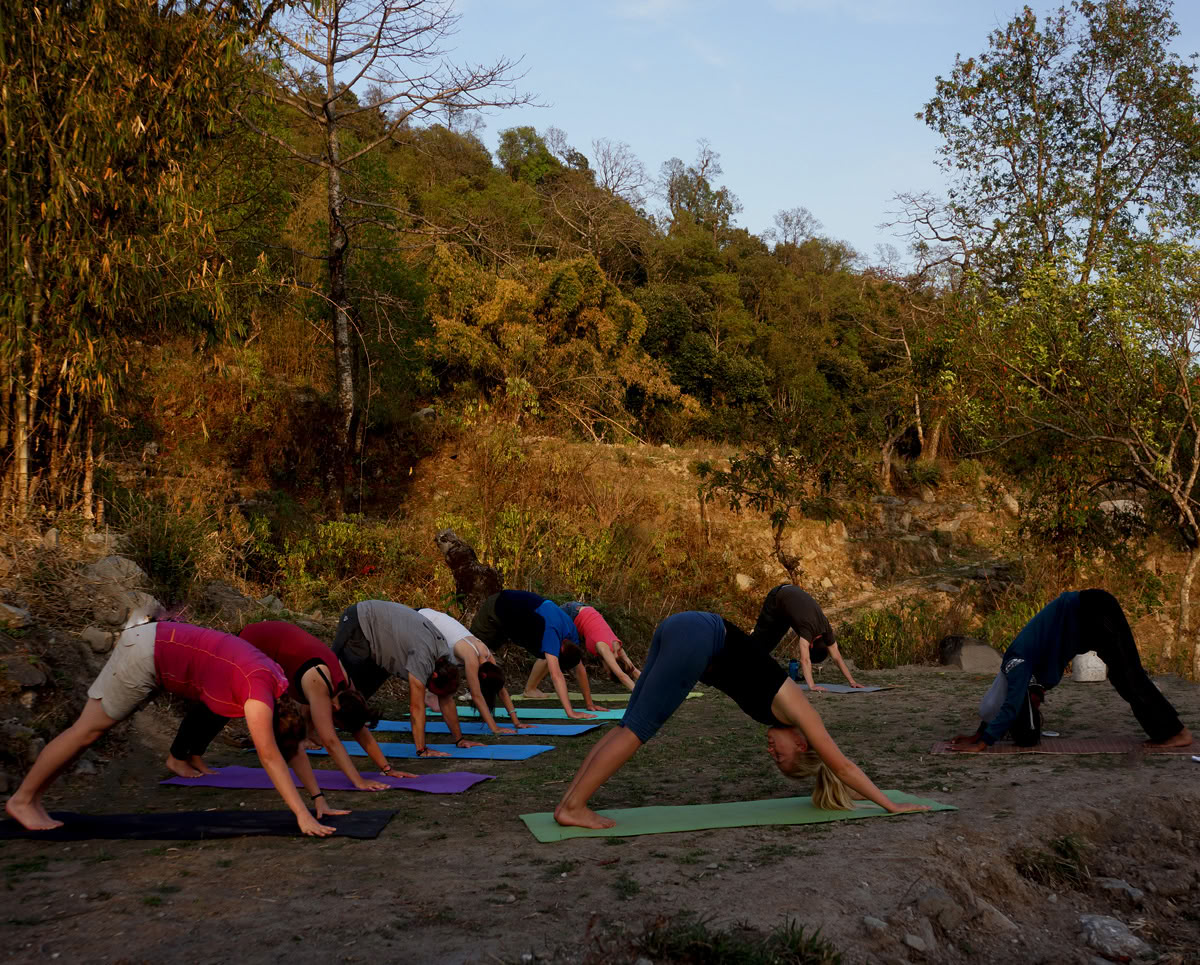 Rewild and Realign: One-Day Mini Retreat