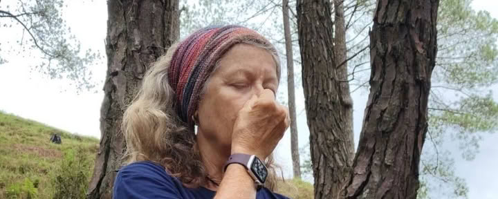 Rewild and Realign: One-Day Mini Retreat