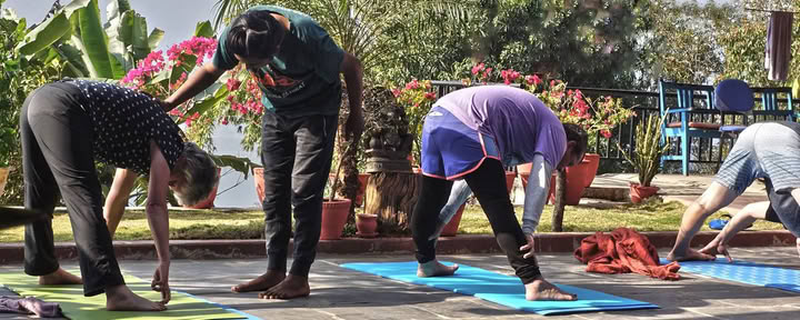 Introduction to Hatha Yoga