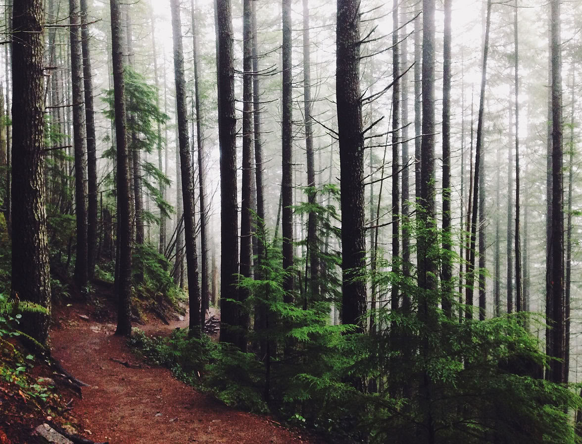 Poonhill - Yoga Trek