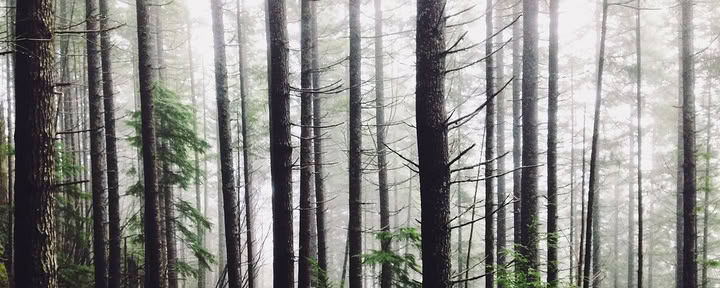 Nagarkot - Kakani