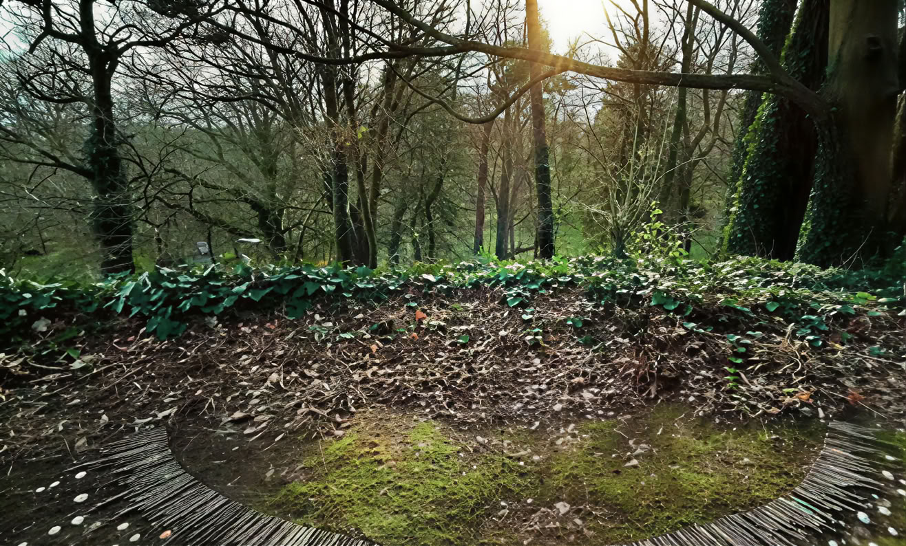 Conscious Vibration — Mucklagh Lodge
