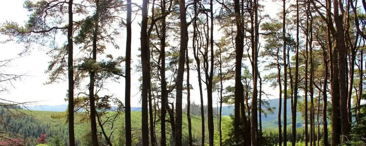 Return to Mucklagh - Samhain — Mucklagh Lodge