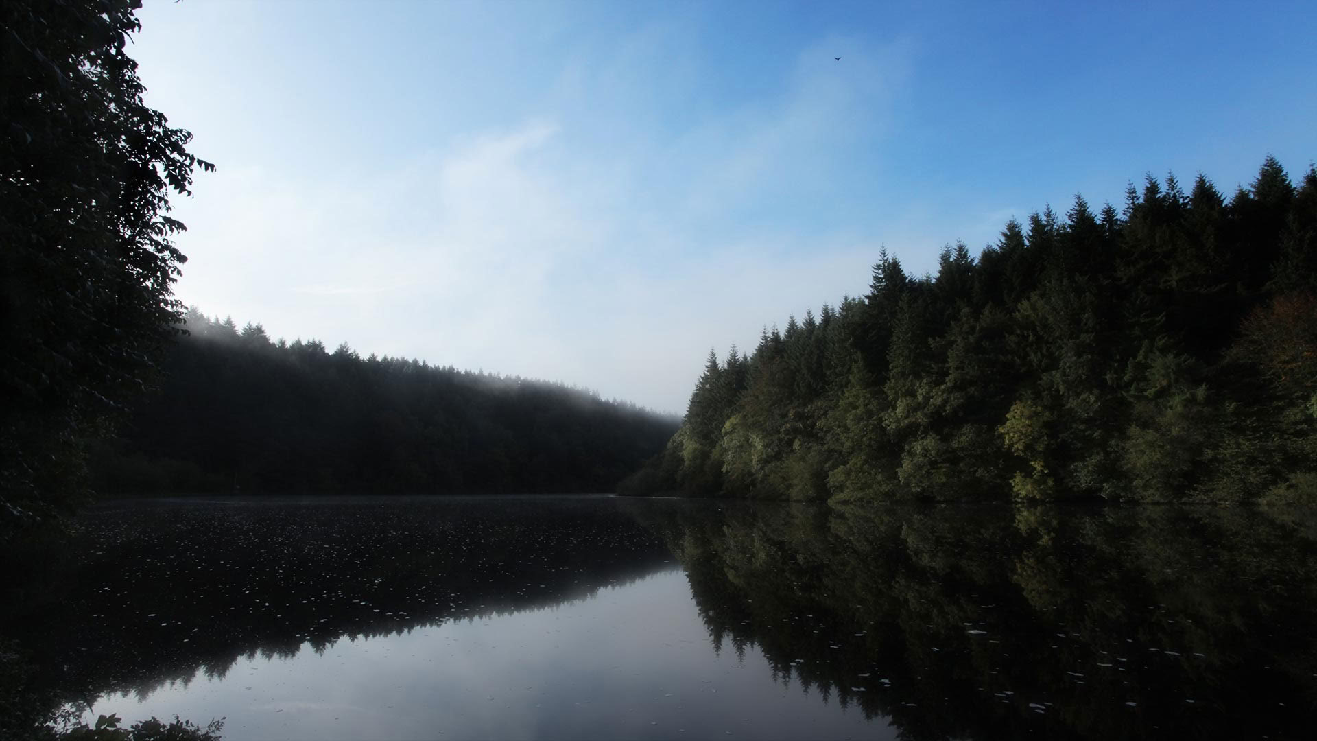 August Reconnect Yoga Retreat