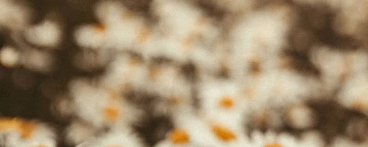 Mountain Reset Retreat | August 23rd