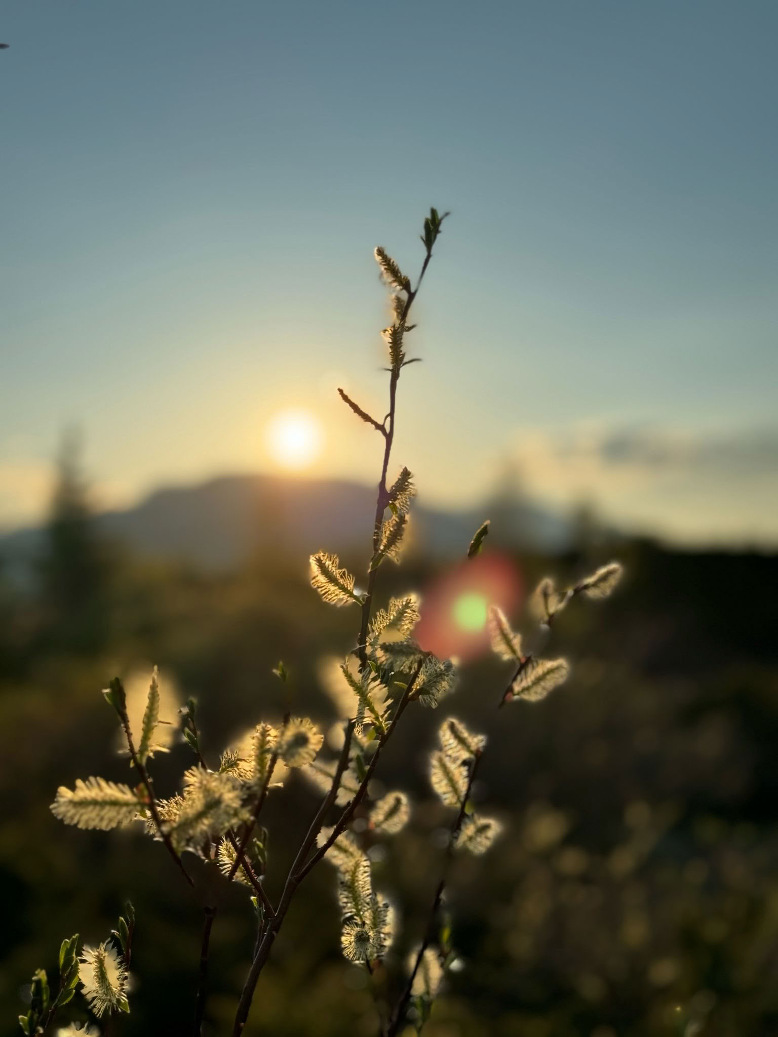 Breath of Autumn: A Restorative Yoga Retreat for Stress Relief