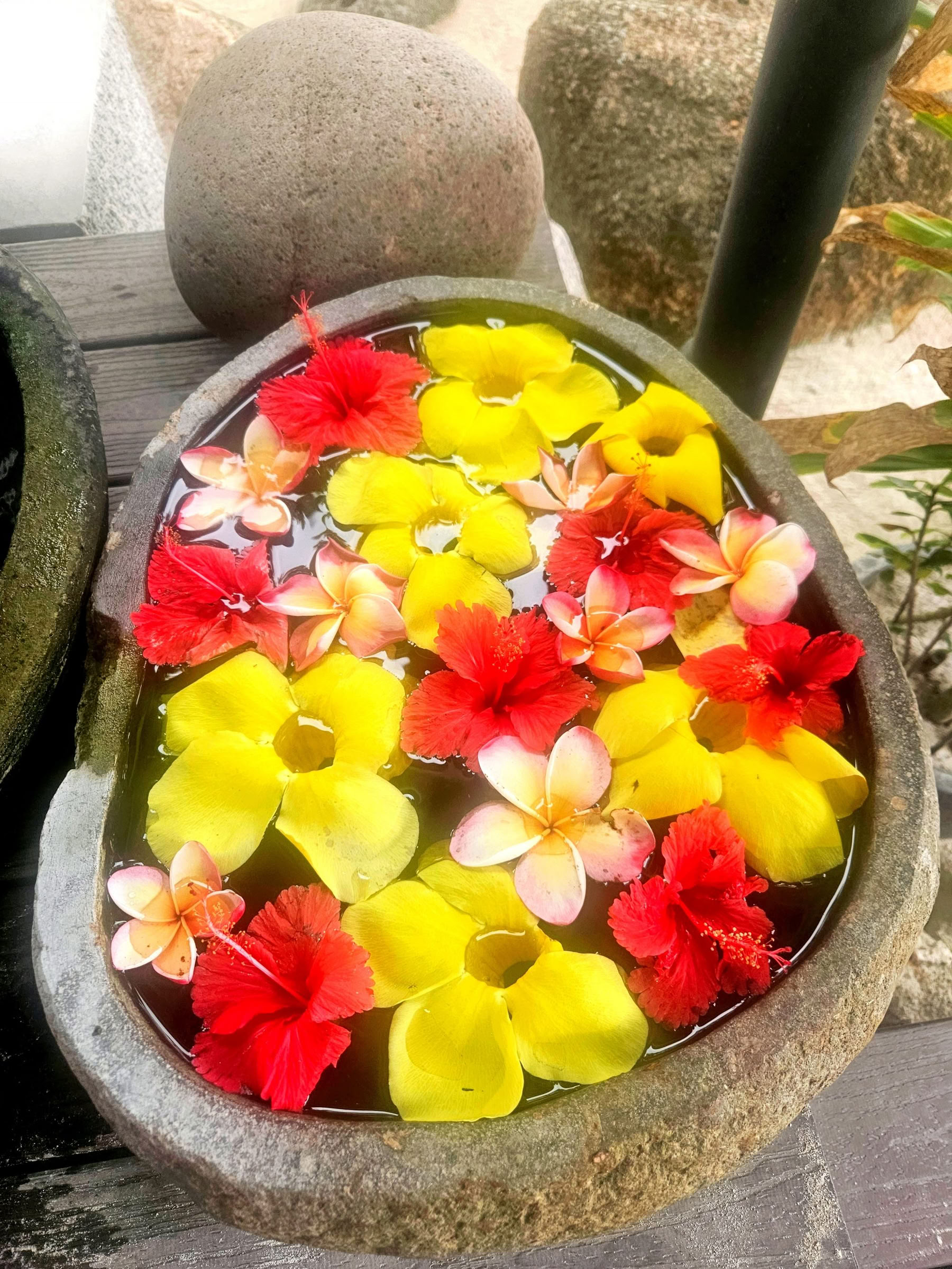 Yoga Retreat Seychelles March 2027