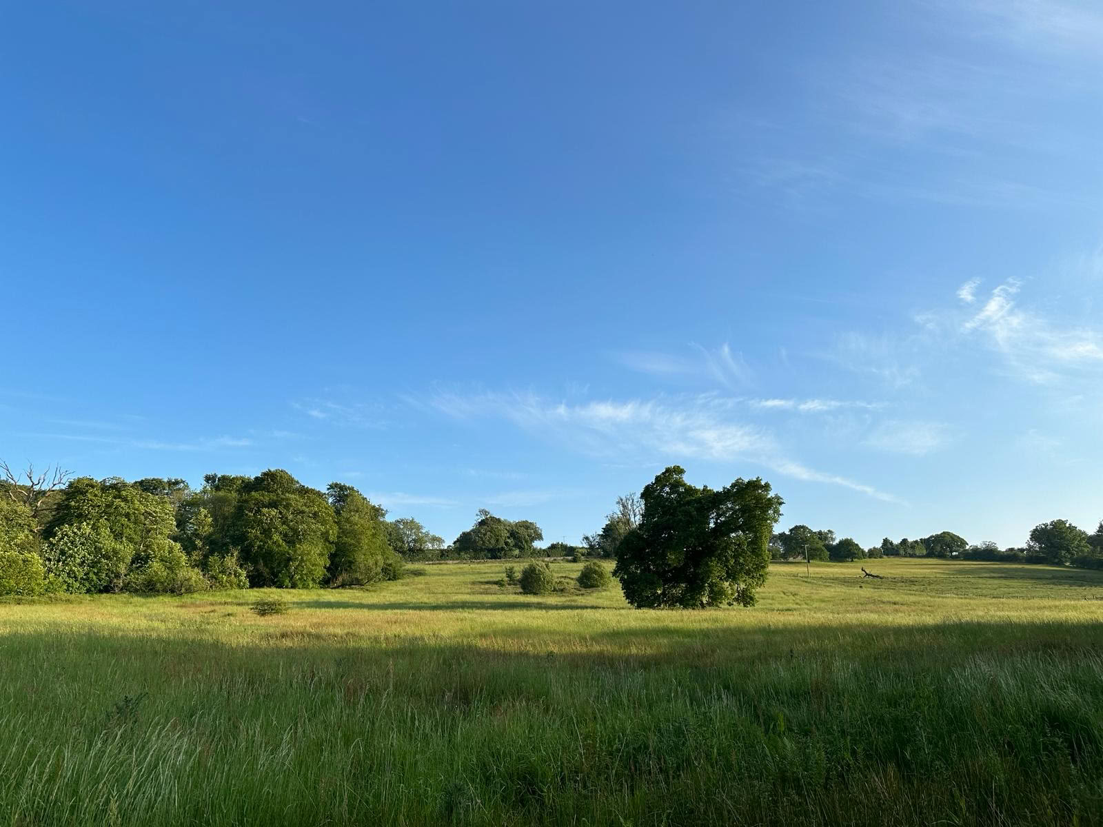 Poetry Writing Retreat: Landscape as Archive
