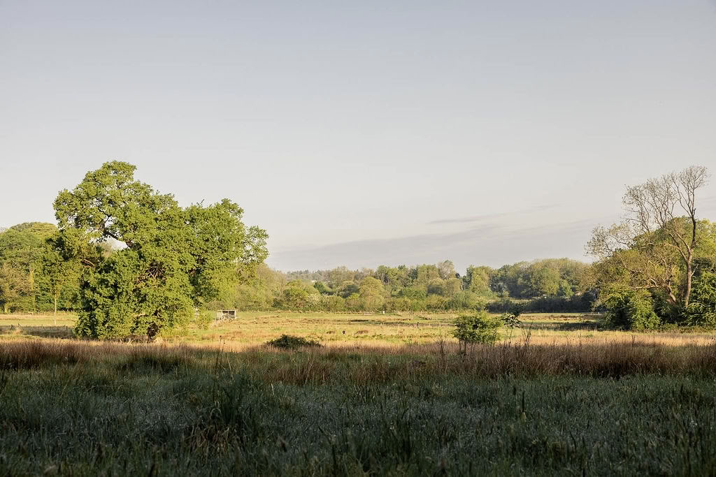 Poetry Writing Retreat: Landscape as Archive
