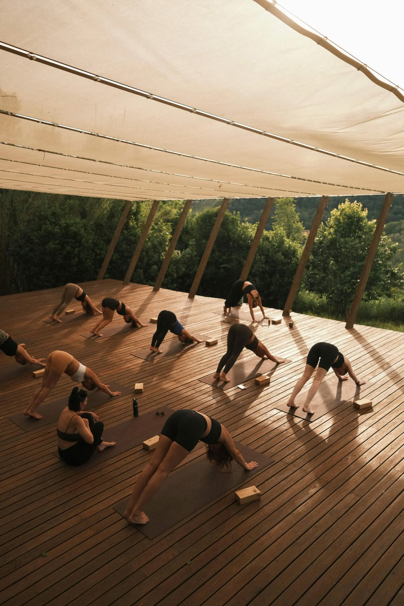 Inner Glow Vinyasa Yoga Retreat