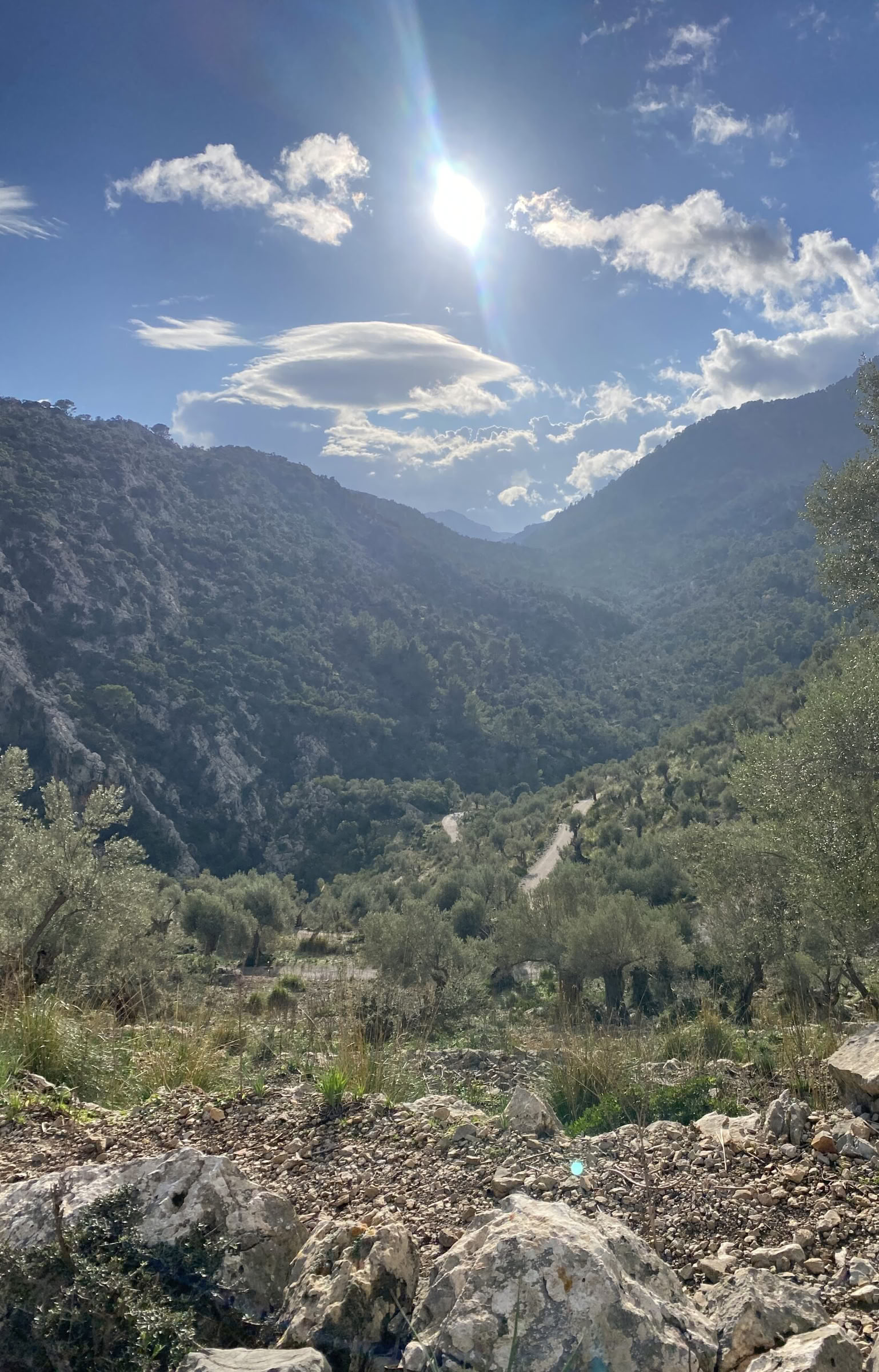 New Year’s Retreat: Manifest and Flow into 2027
