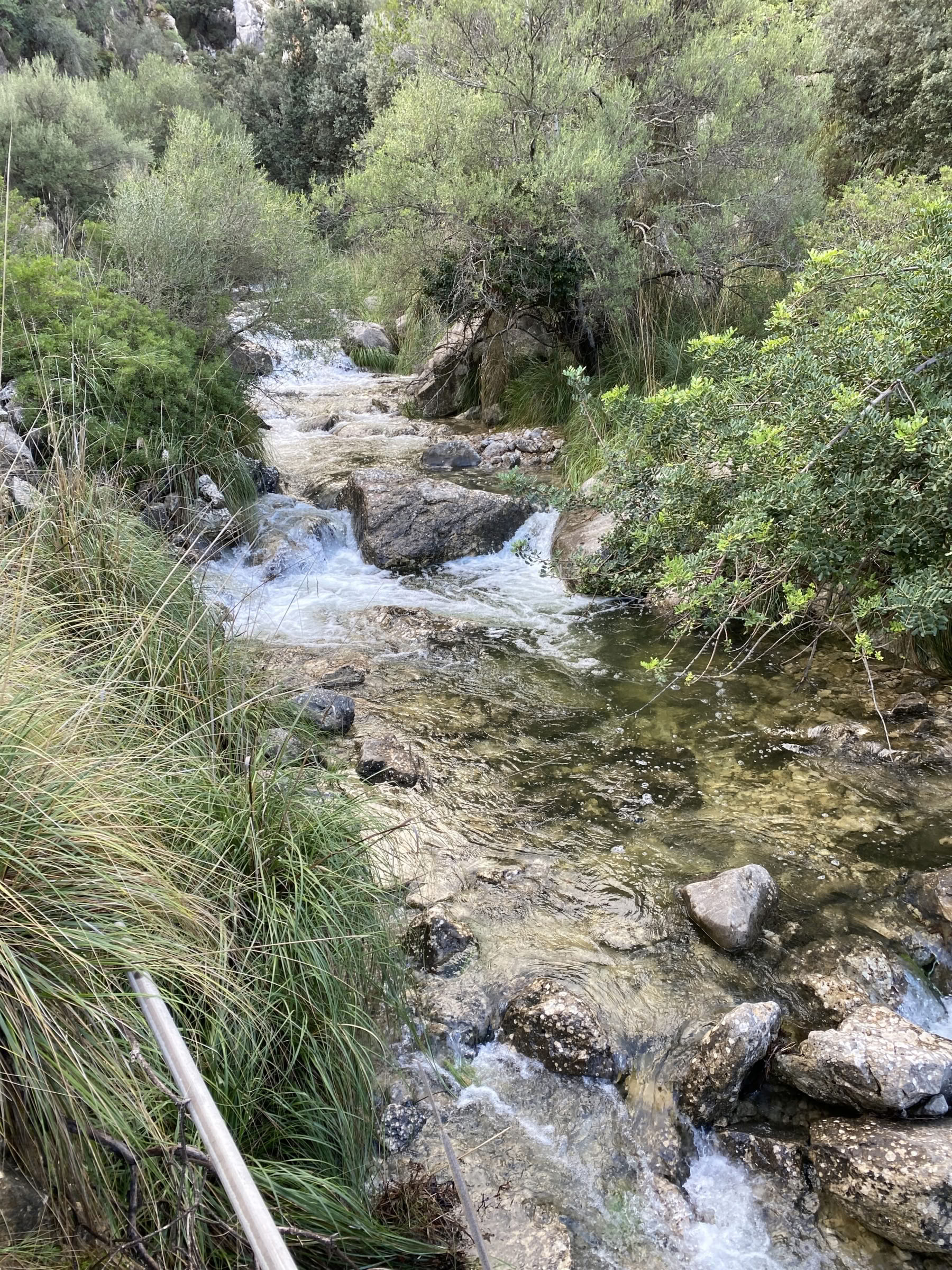 New Year’s Retreat: Manifest and Flow into 2027