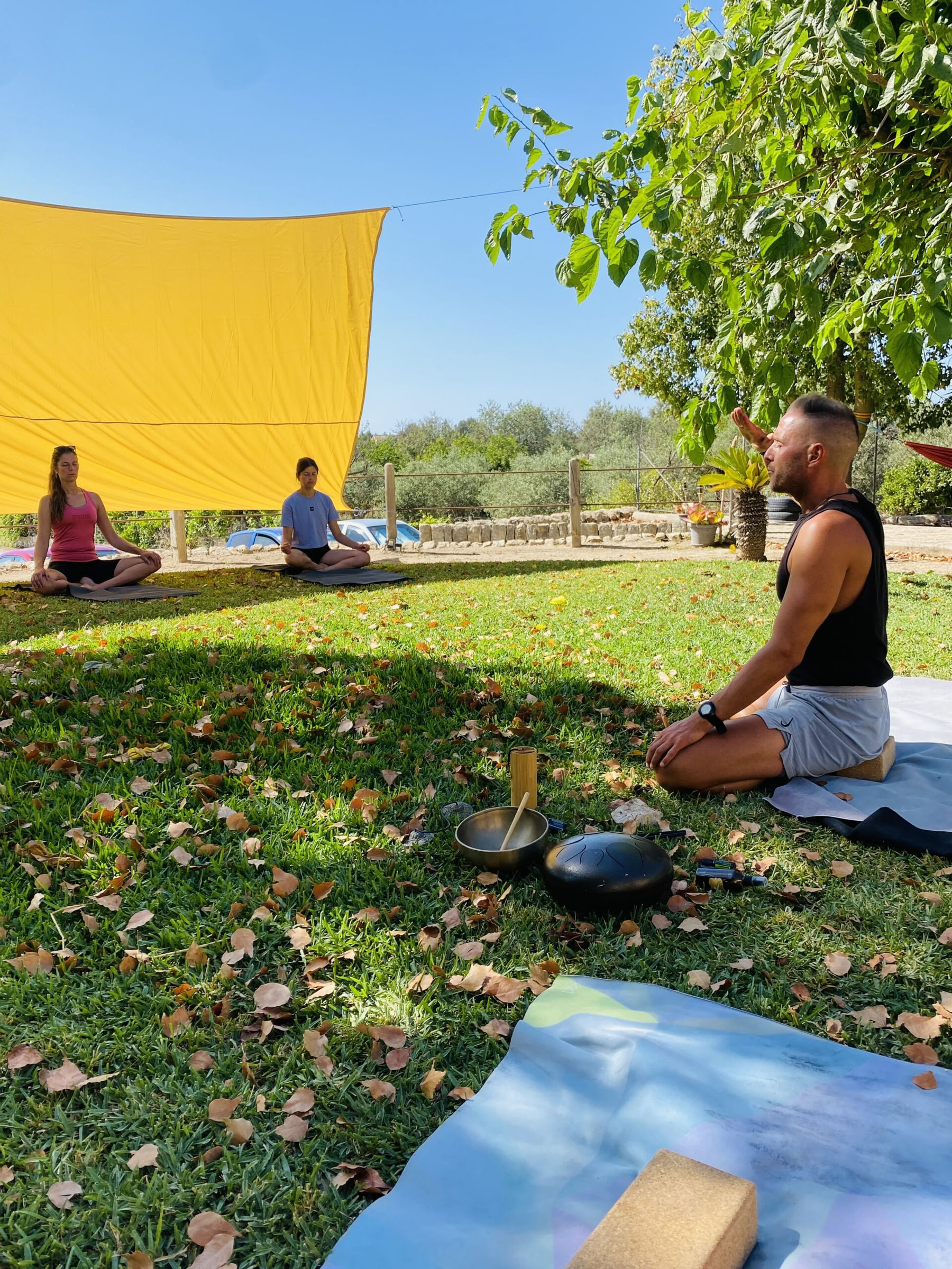 Breathwork and Pranayama Teacher Training Level 1