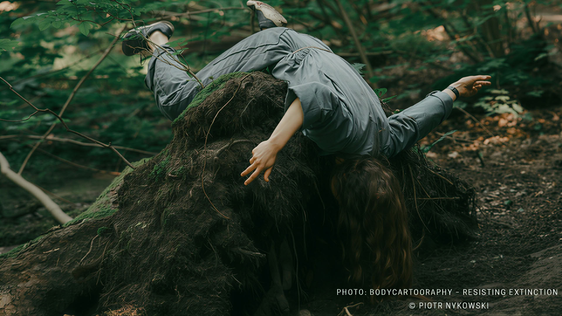 WILD Late summer intensive dance improvisation training