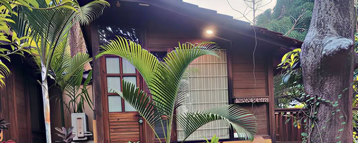 Advanced Ayurveda Training For Practitioners
