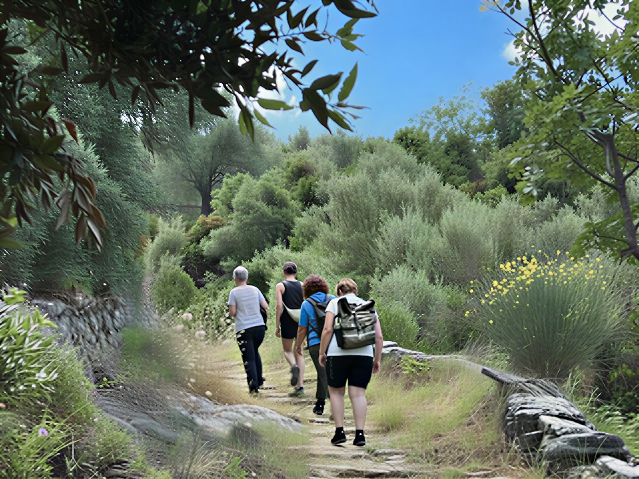 MINDFUL HIKING