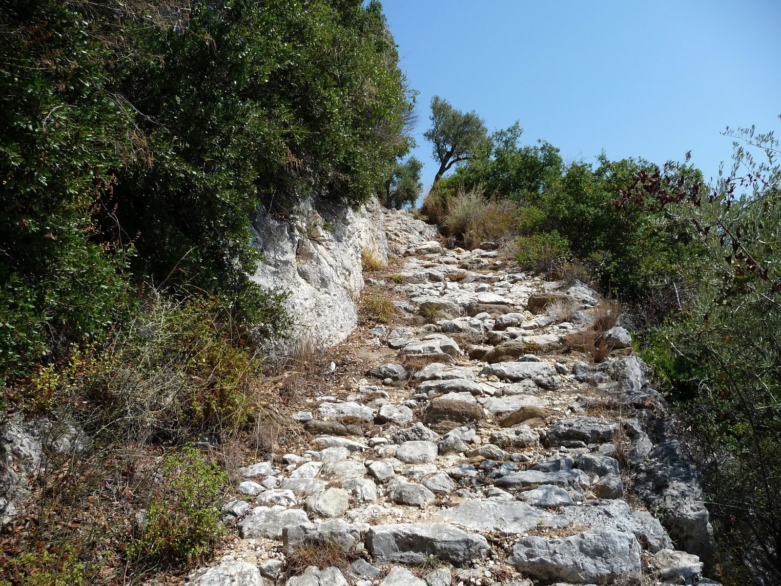 MINDFUL HIKING