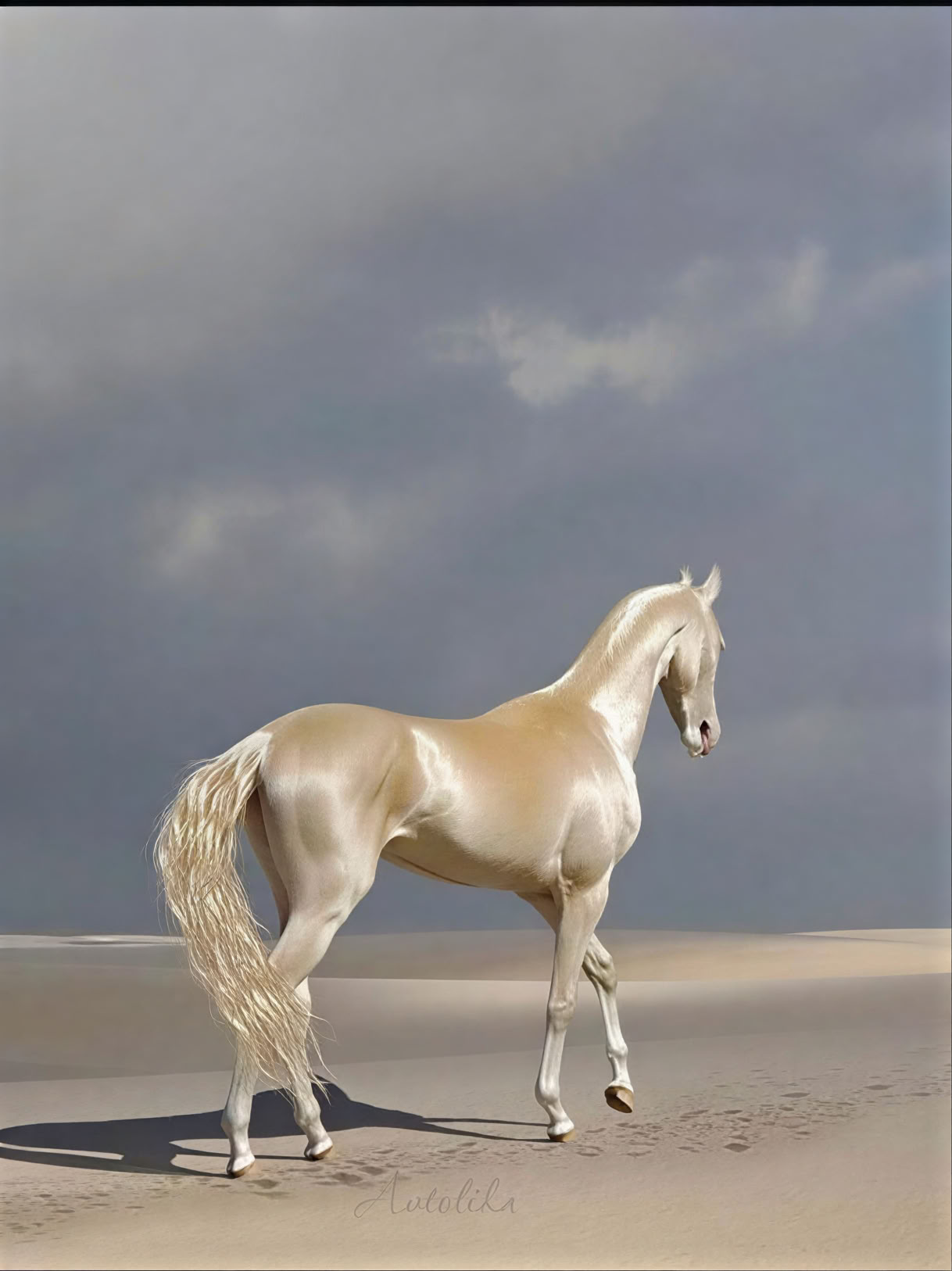 Year of the Horse – Harvest & Release