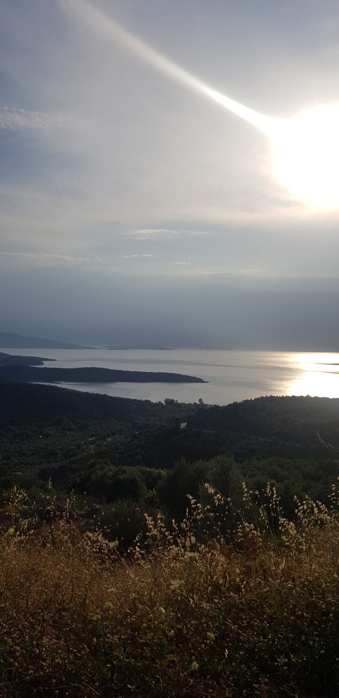 THE HEALING POWER OF THE ESSENES