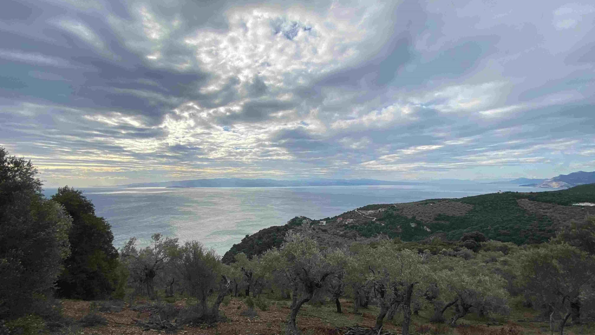 THE HEALING POWER OF THE ESSENES