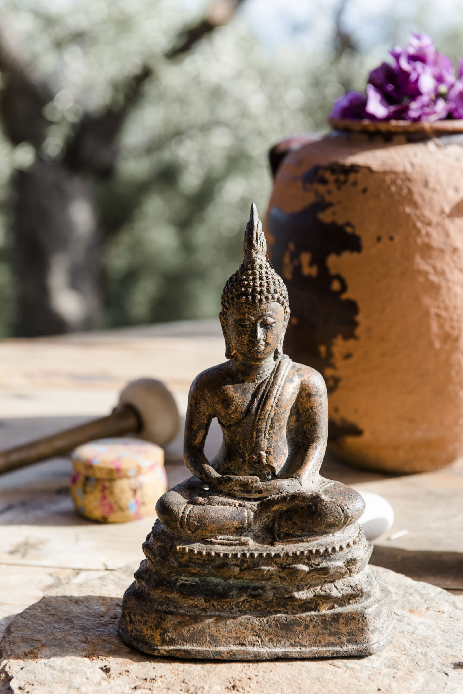 NEW WISDOM RETREAT - THE SILENCE OF THE HARVEST