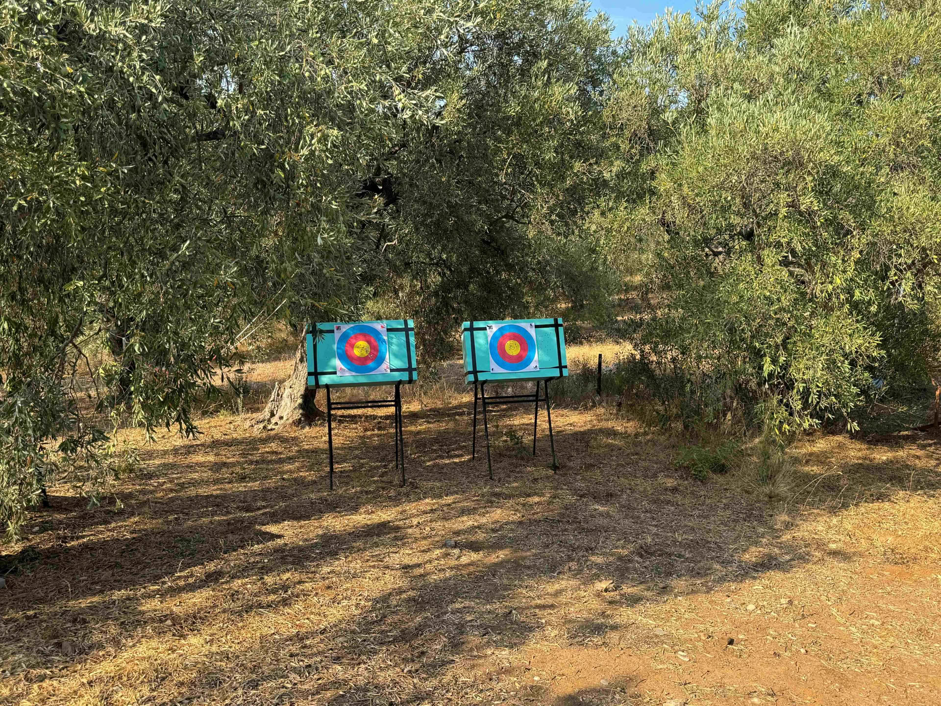 INTUITIVE ARCHERY AND MINDFULNESS