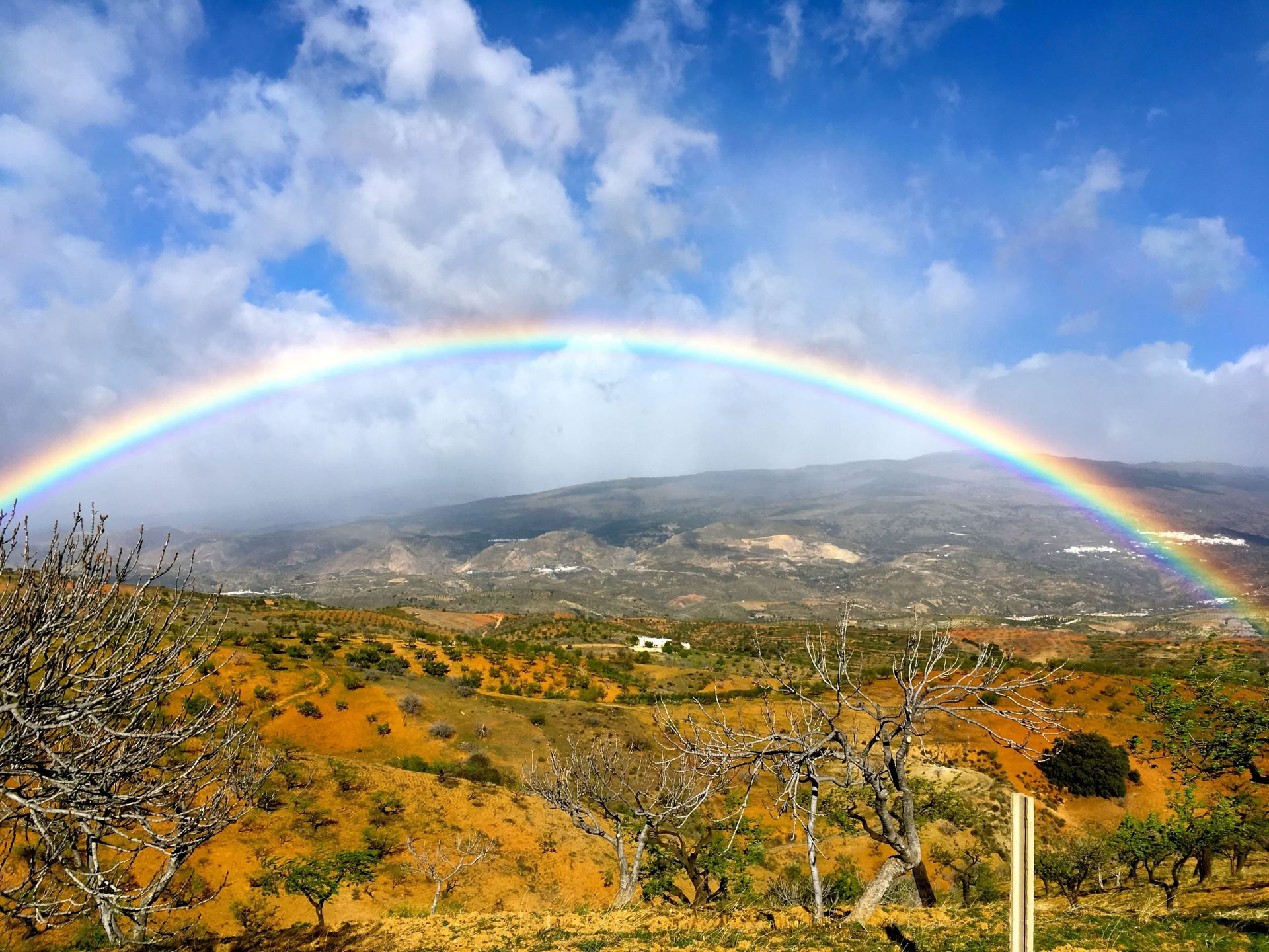 Women's Embodied Wisdom Retreat