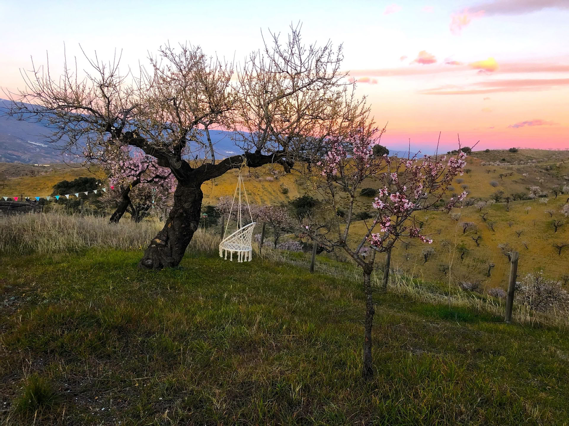 Women's Embodied Wisdom Retreat