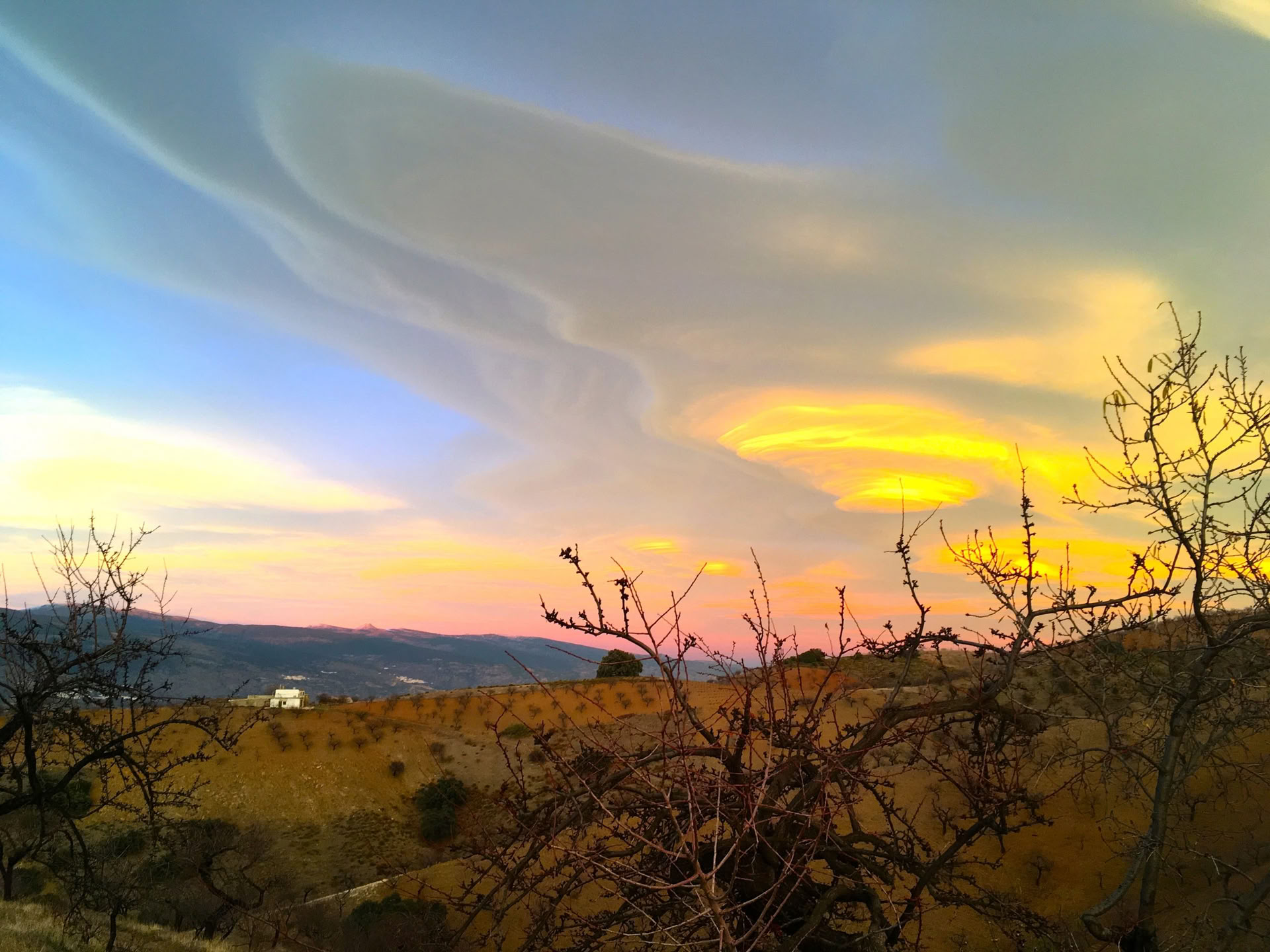 Women's Embodied Wisdom Retreat