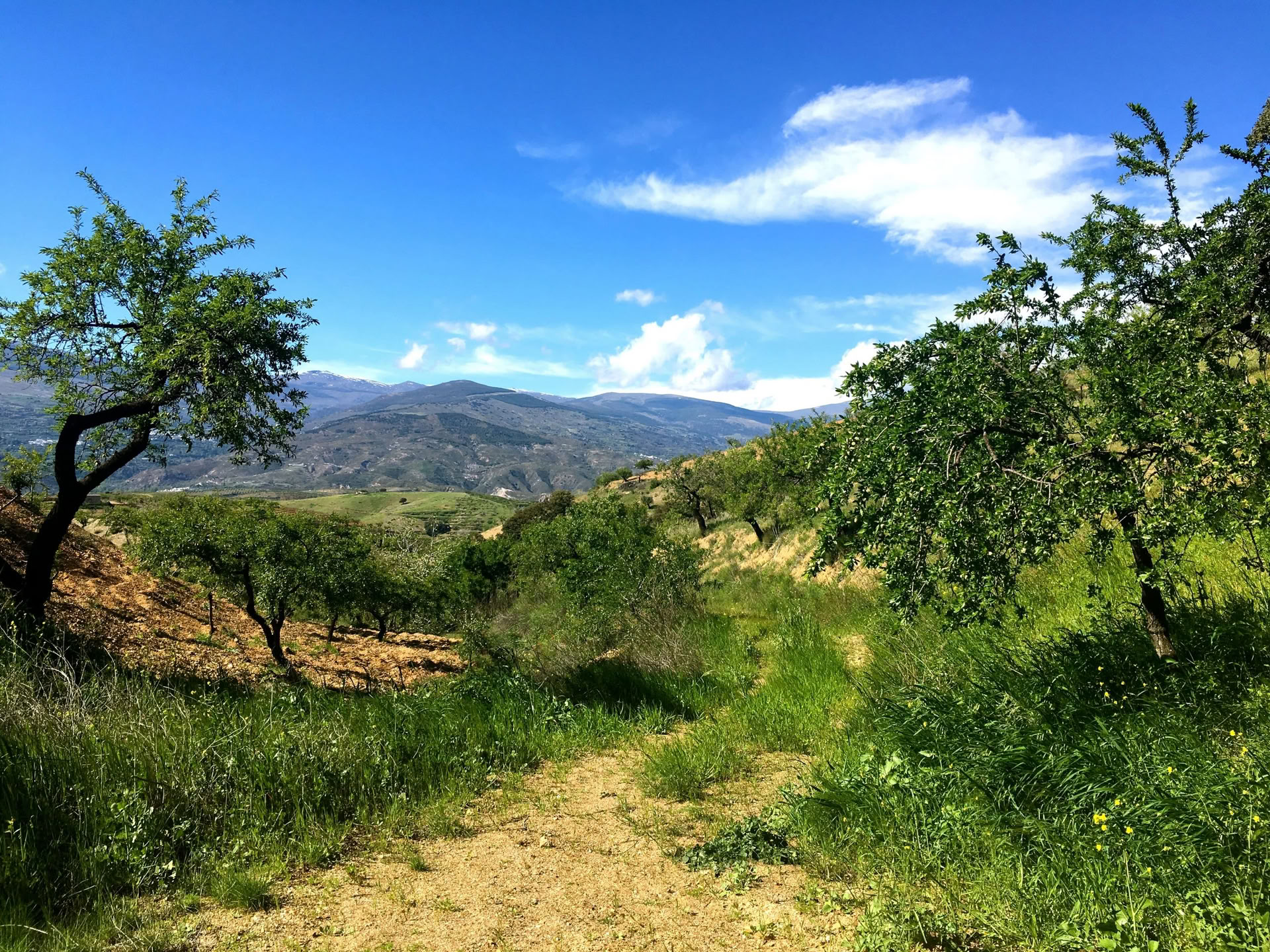 Women's Embodied Wisdom Retreat