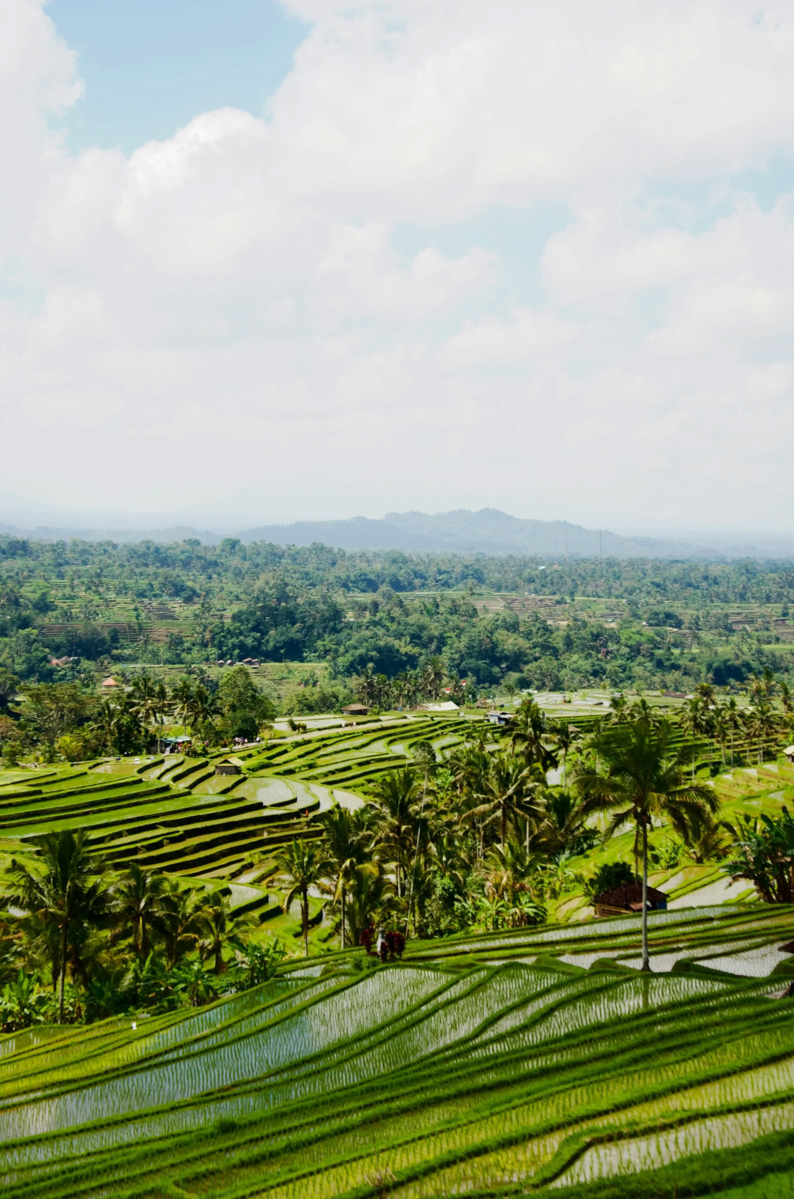 Bali Off the Beaten Path: Quiet Day in the West
