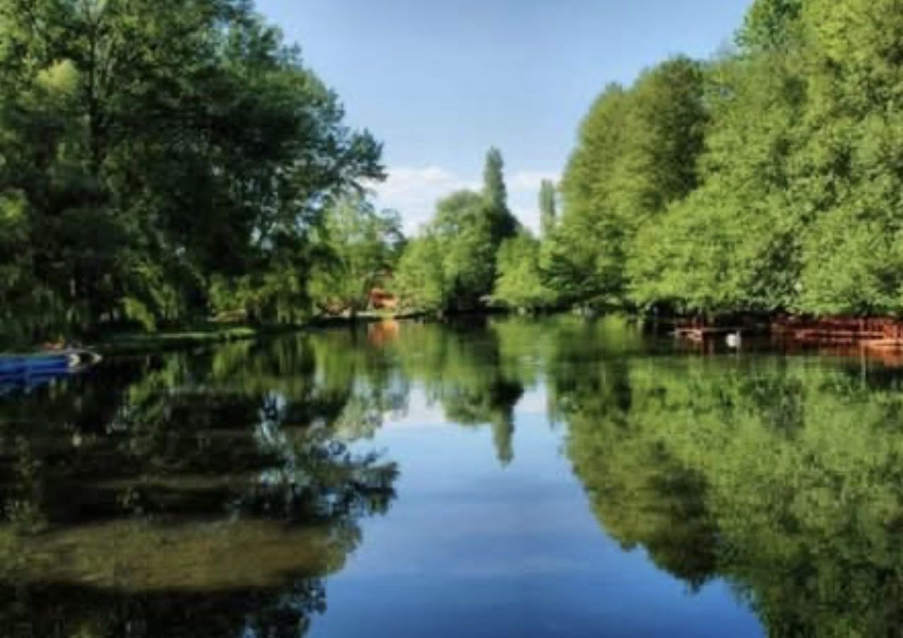 Find Your Strength: Yoga and Self-Defense by Lake Ohrid