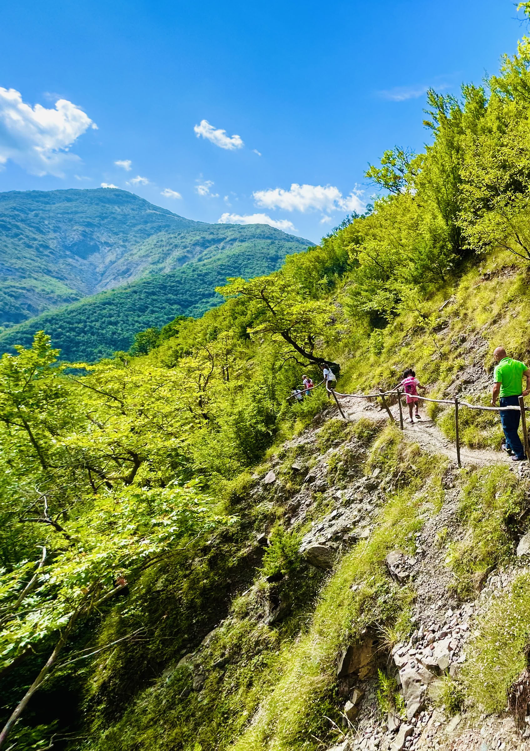 Waterfall Energy: Recharge and reconnect in lush mountain landscapes