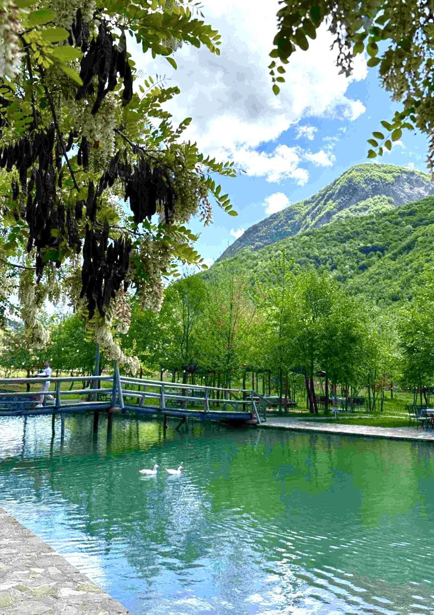 Waterfall Energy: Recharge and reconnect in lush mountain landscapes