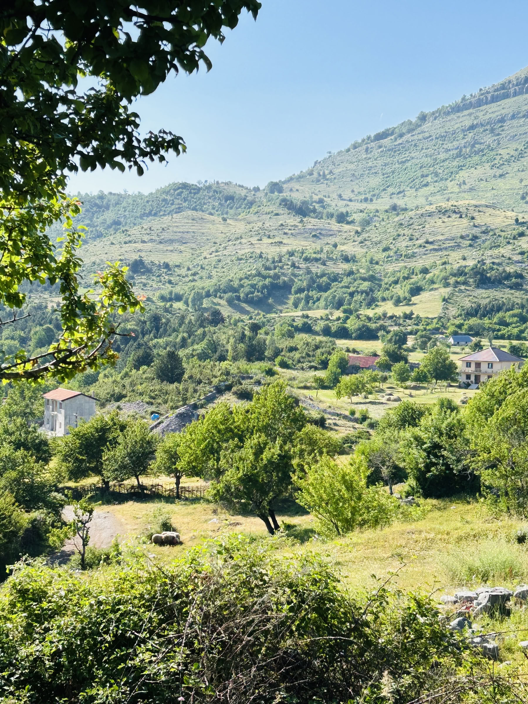 Razma Mountain Wellness Retreat for Body-Mind-Harmony
