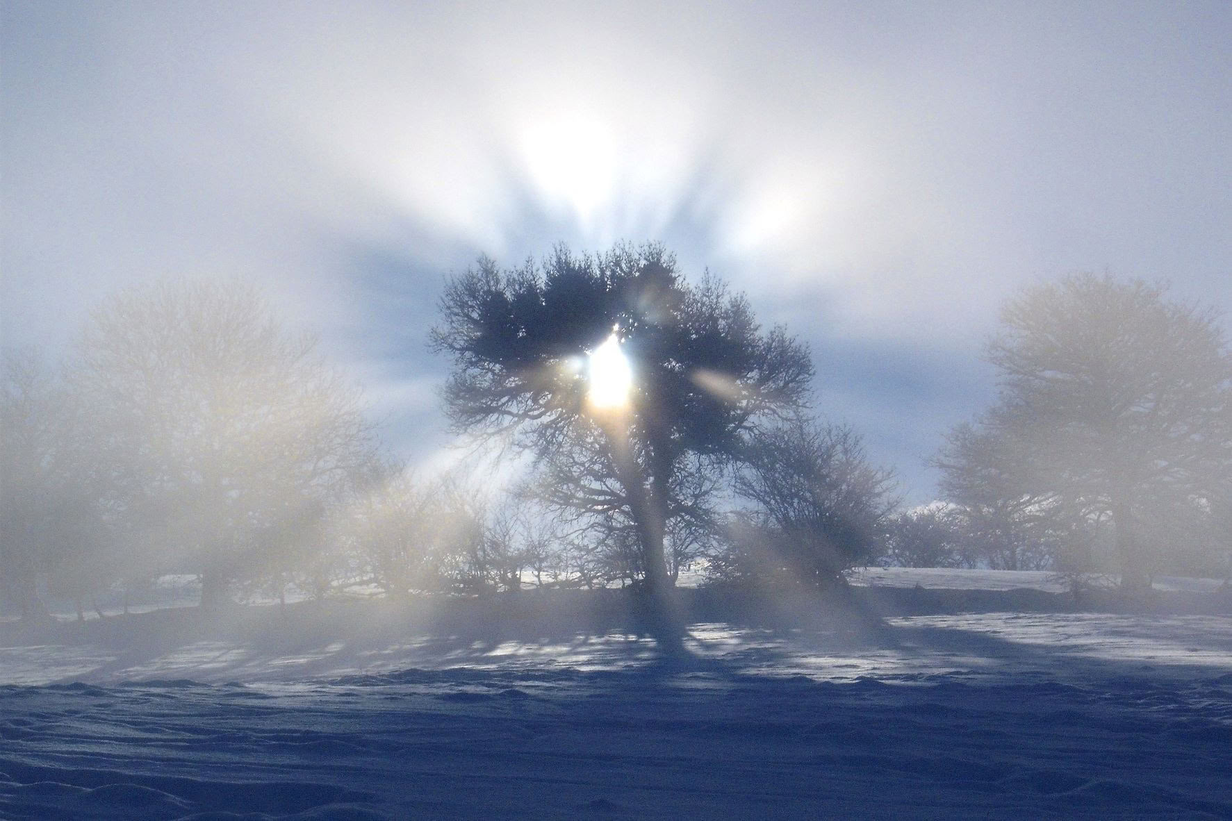 Silent Retreat
