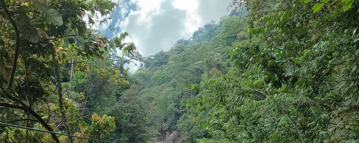 Pacuare River Ziplining
