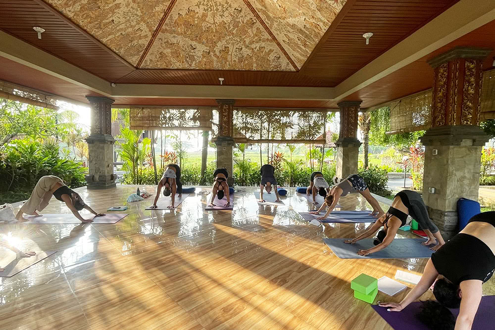 200 Hour Ashtanga Vinyasa Yoga Teacher Training Bali