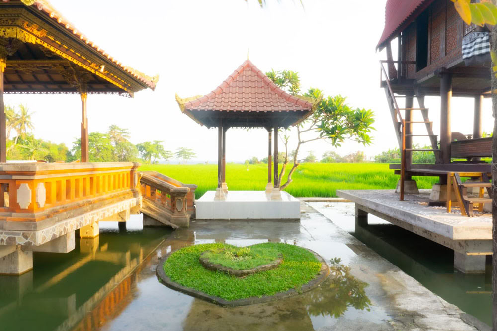 200 Hour Ashtanga Vinyasa Yoga Teacher Training Bali