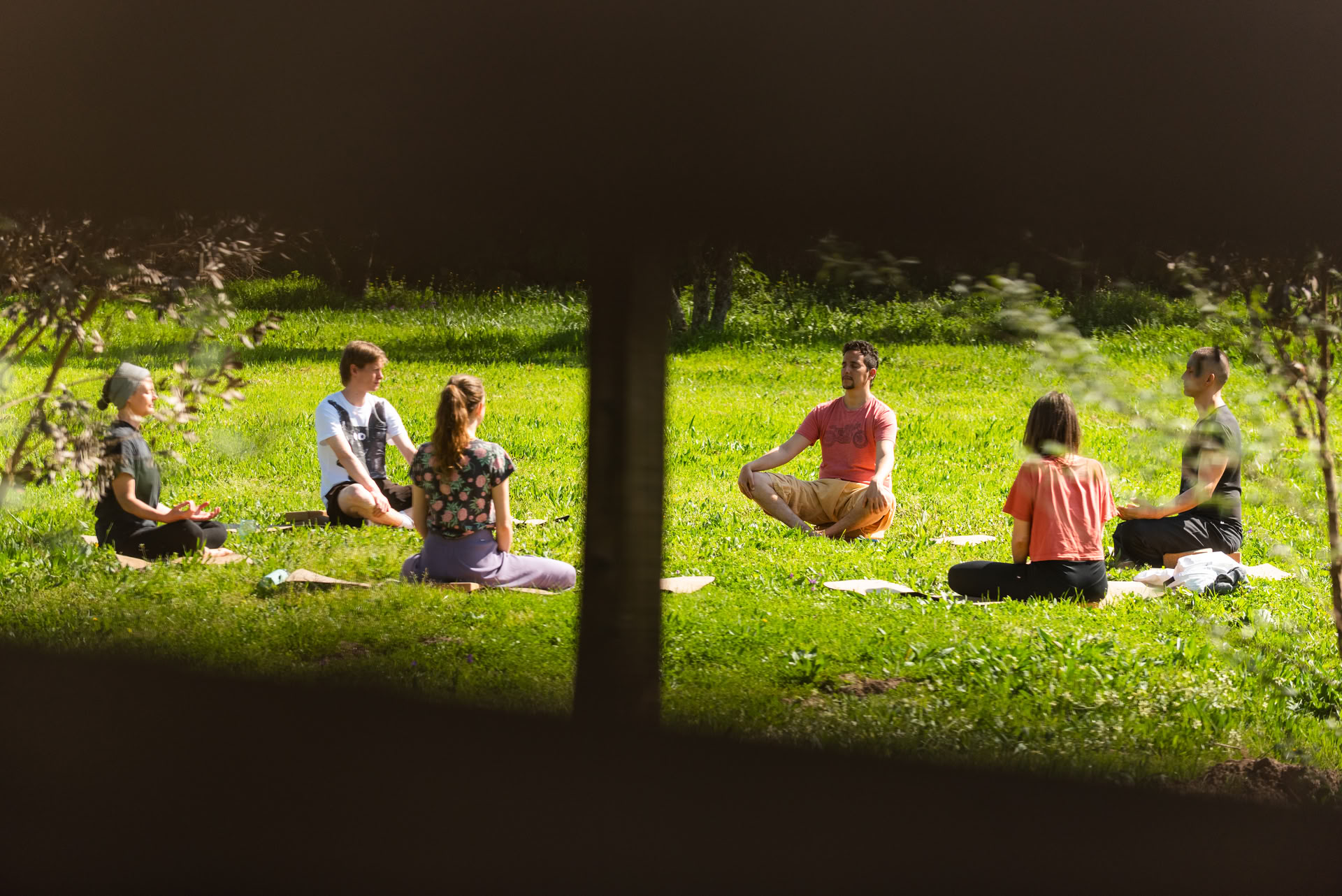 5-Day 5 Elements Cleanse & Renewal