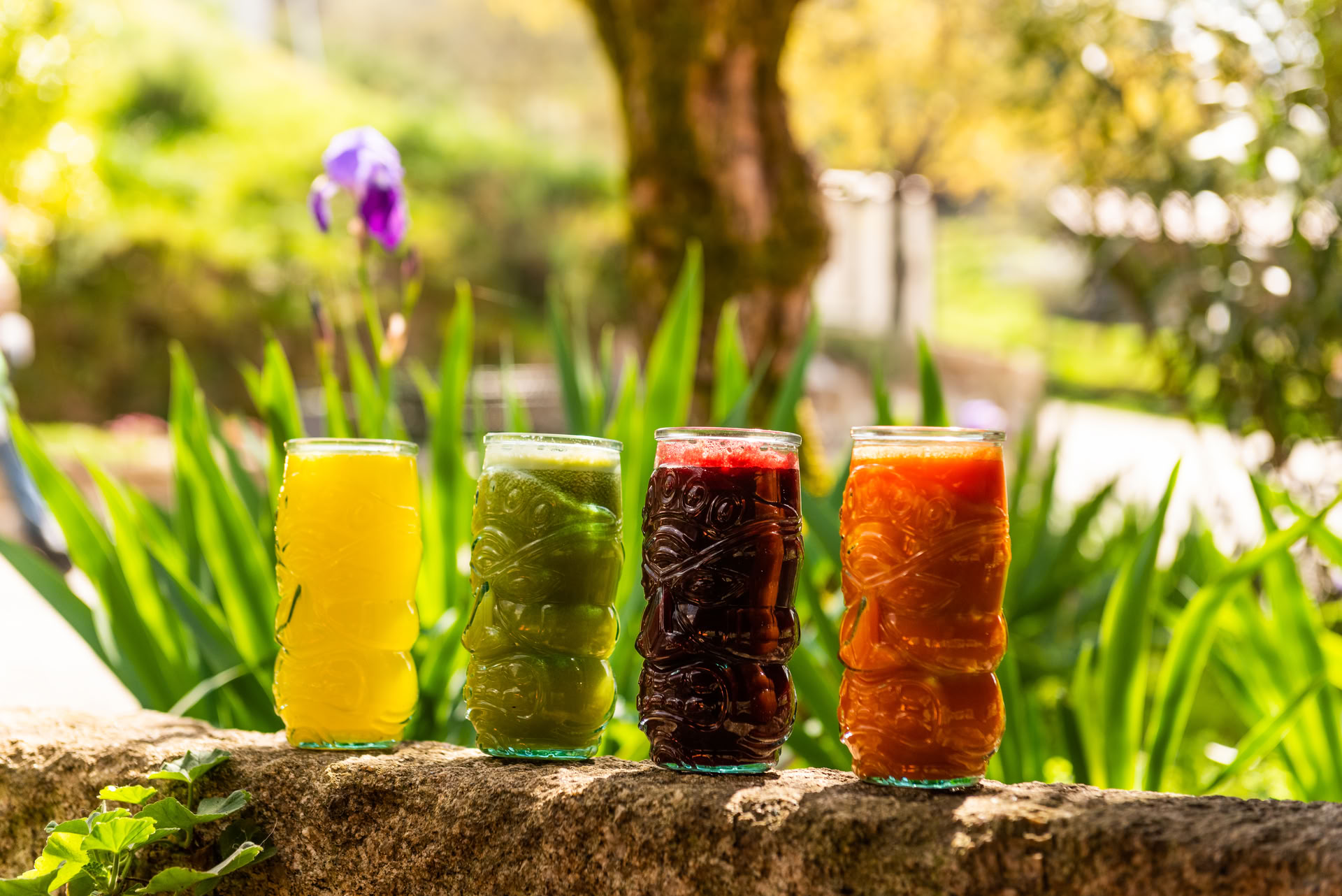 5-Day health & longevity Reset