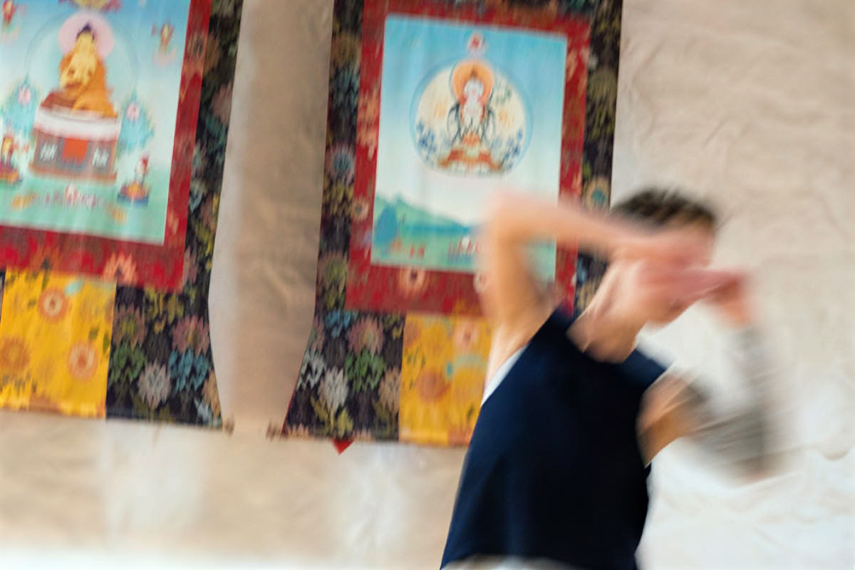 white crane spreads wings: tai chi, writing and meditation