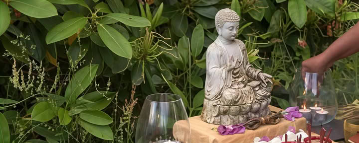 qi gong and meditation