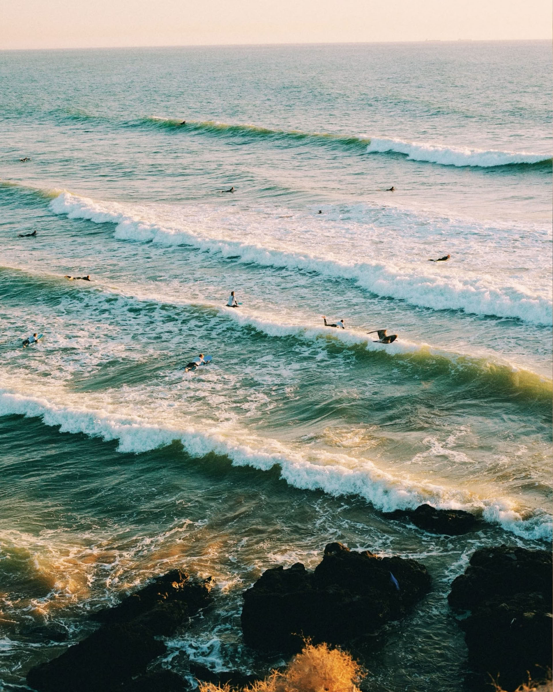 Work, Surf & Stay