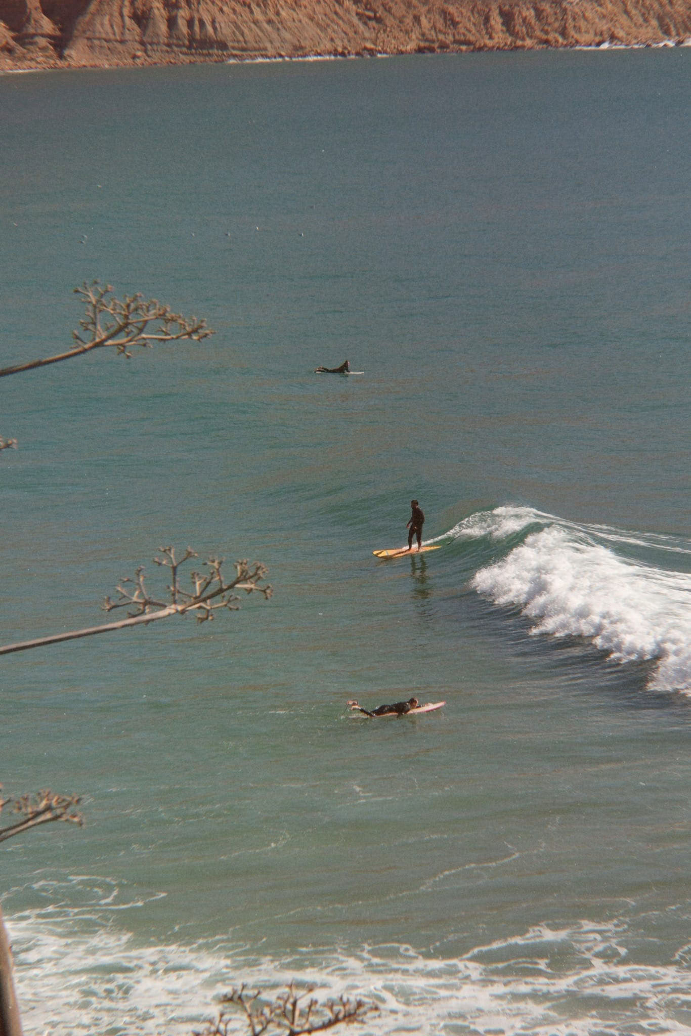 Work, Surf & Stay