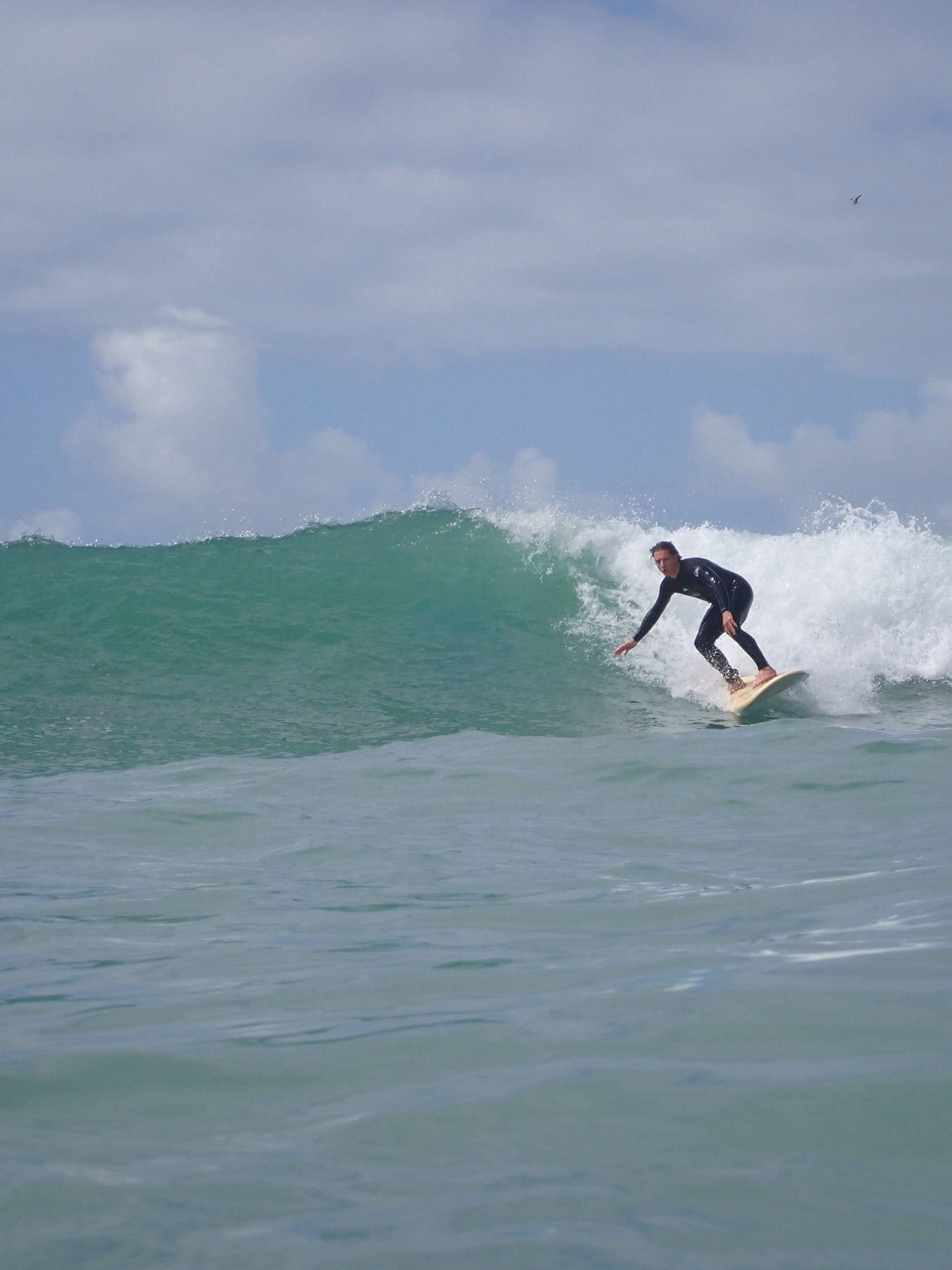 Work, Surf & Stay