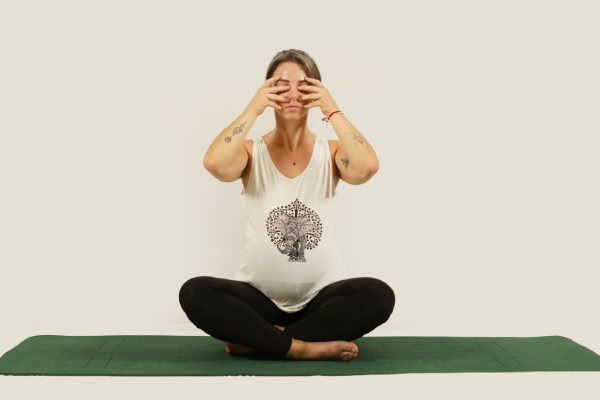 200 Hour YTTC + Prenatal Yoga Certification