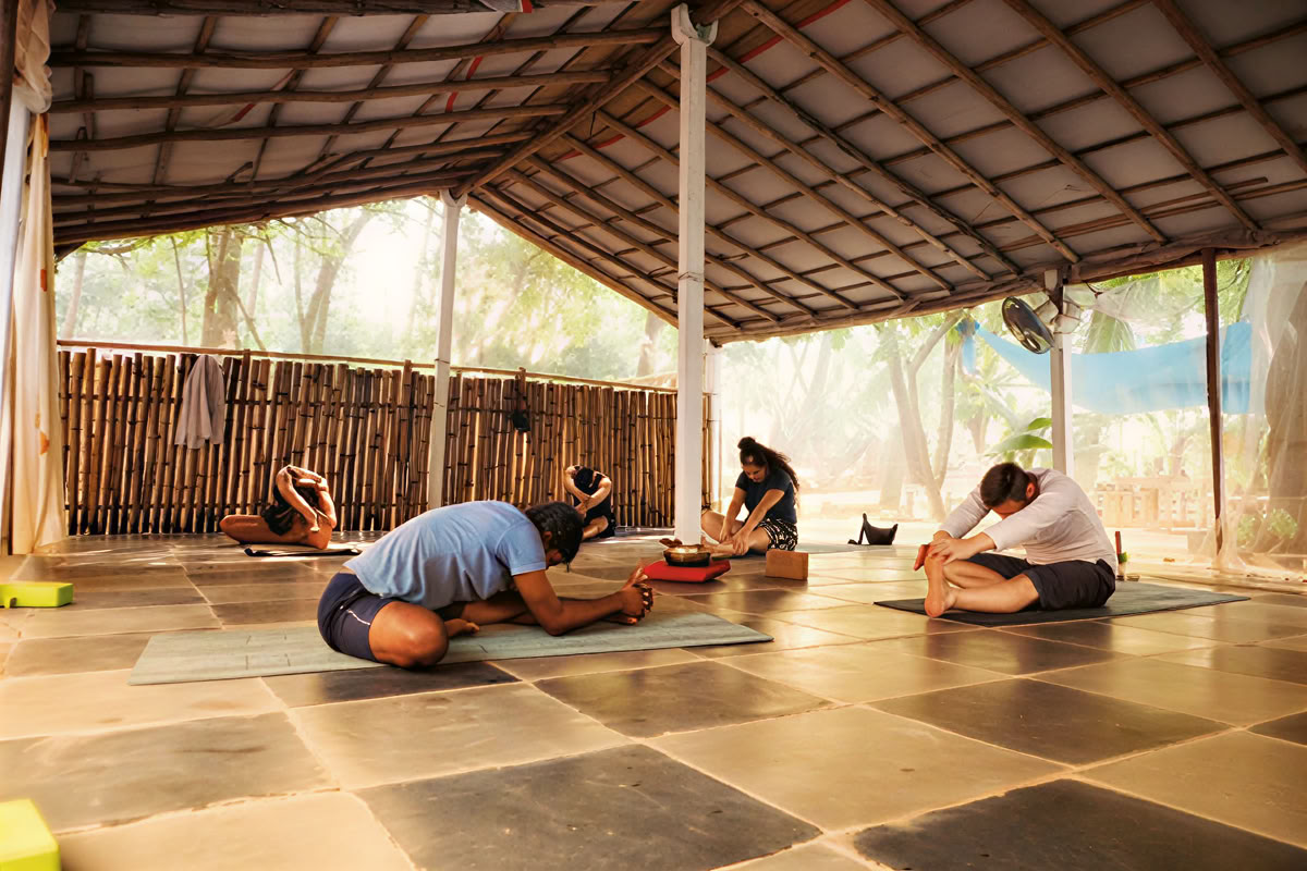 Yoga Drop In Classes