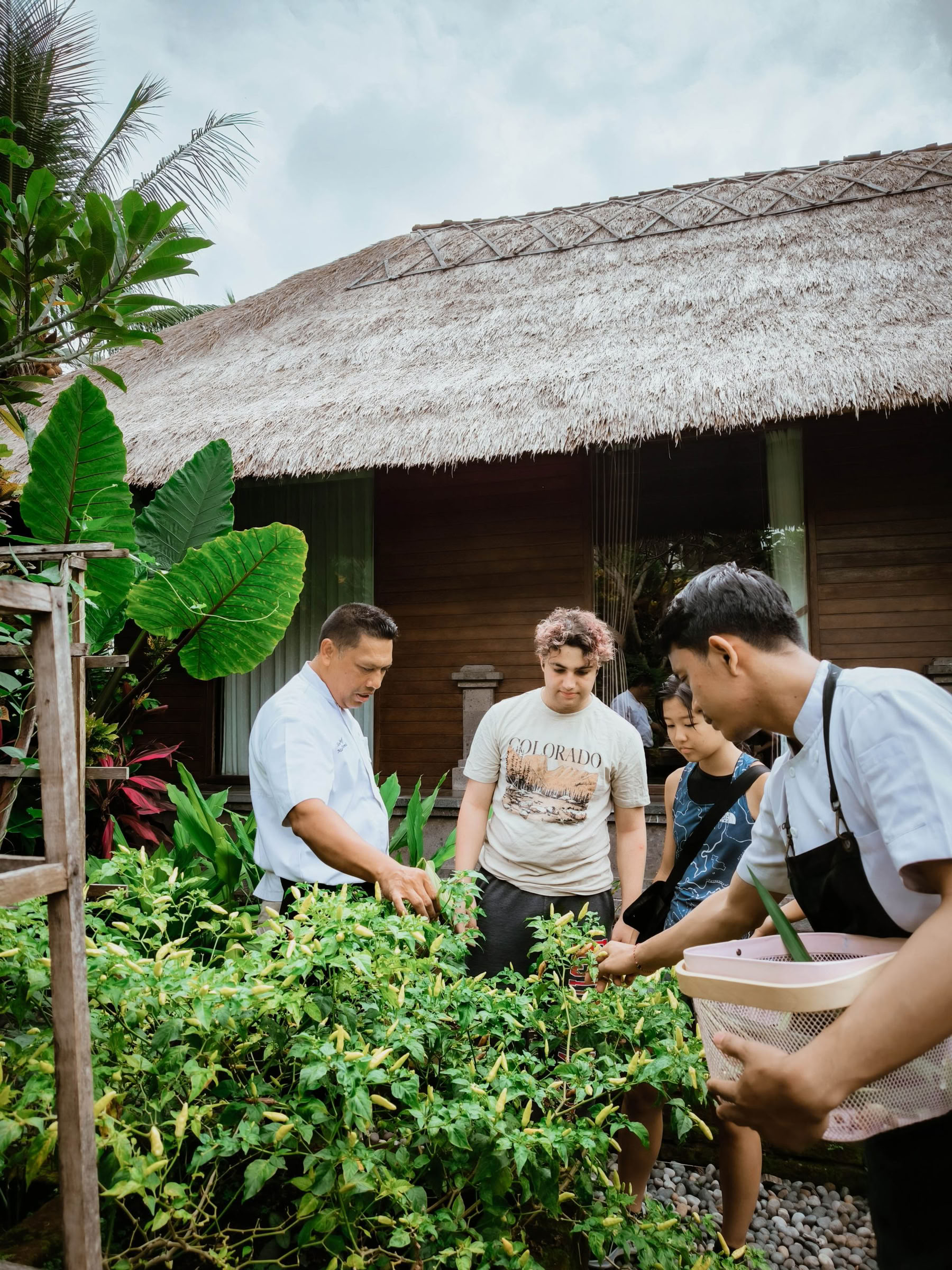A Lip-Smacking Adventure into Balinese Cuisine!