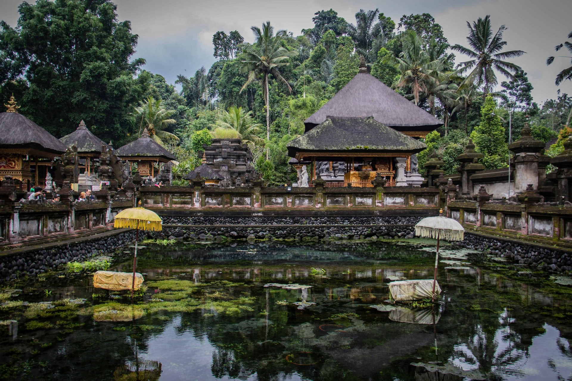 A Lip-Smacking Adventure into Balinese Cuisine!